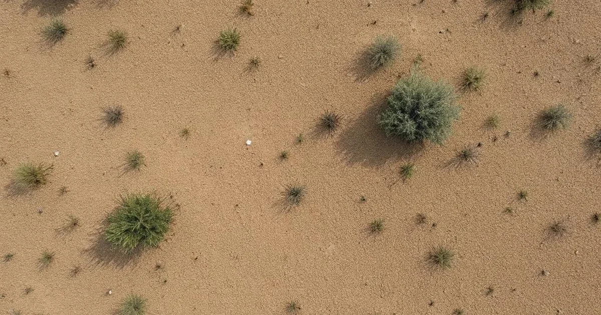 AI for Ecosystem Restoration: Optimizing Nature's Recovery