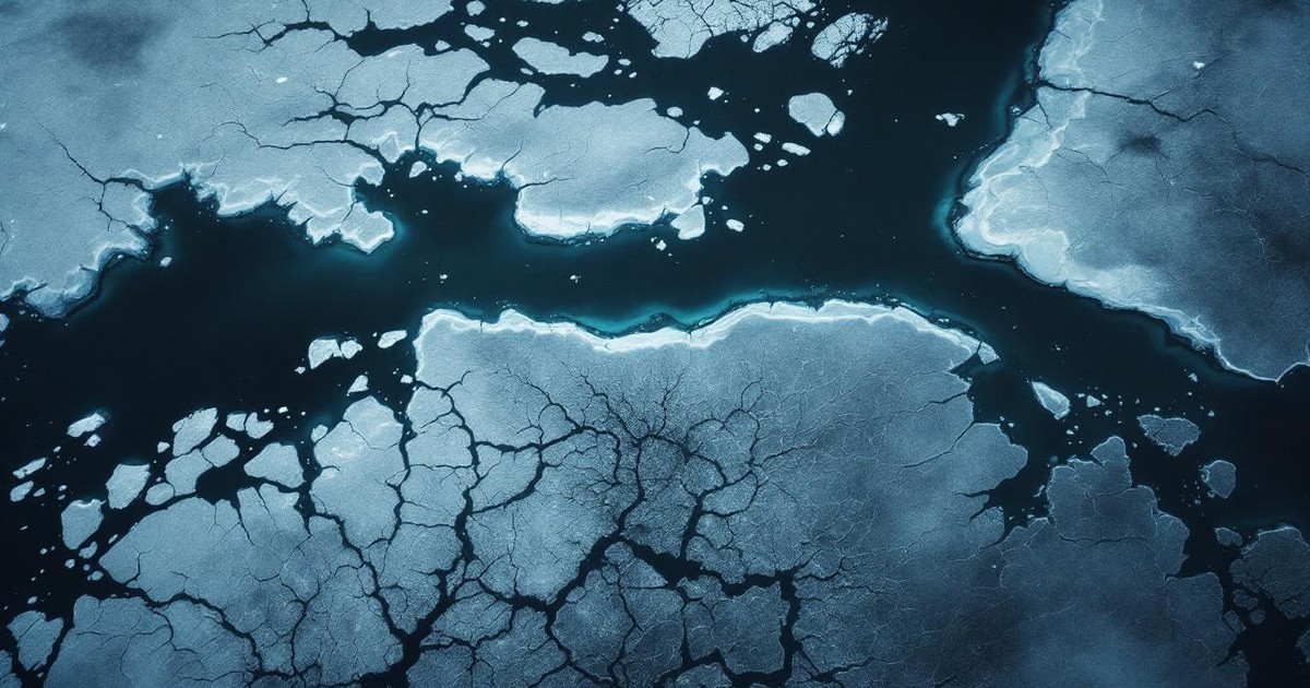 Connexion Humaine: La Fraternité Glaciale :